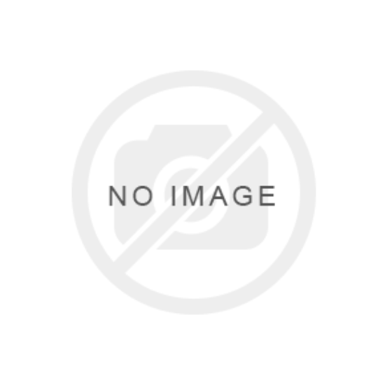 Picture of Air Filter - HOFFER - 16030